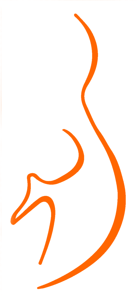 Dr. Monika Birner Logo